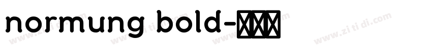 normung bold字体转换